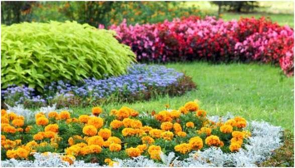 Cottonwood Landscaping Brings Process Discipline to High-End Results