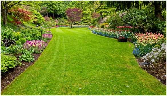 What Makes a Utah Landscape Durable Instead of Merely Attractive