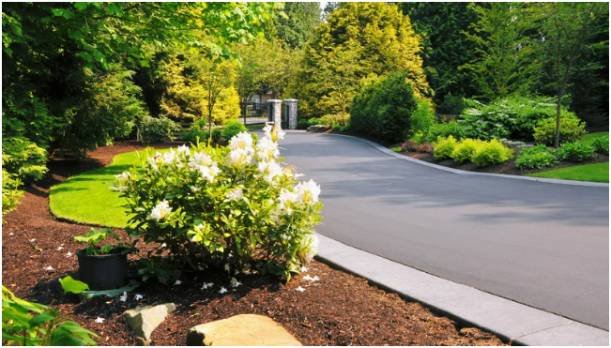 Why Xeriscaping Is a Design Strategy, Not a Compromise