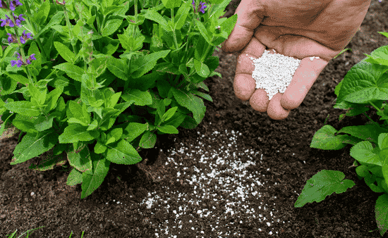 Why Amino Acid Chelates Change The Conversation