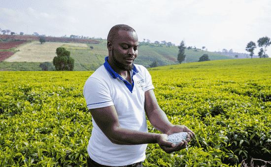 Why Fertilizer Is A Strategy, Not A Commodity