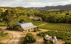 Exploring the Best Eden Valley Wineries
