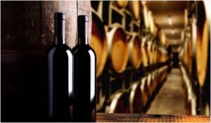 Exploring the Unique Flavours of Pipers River Wineries
