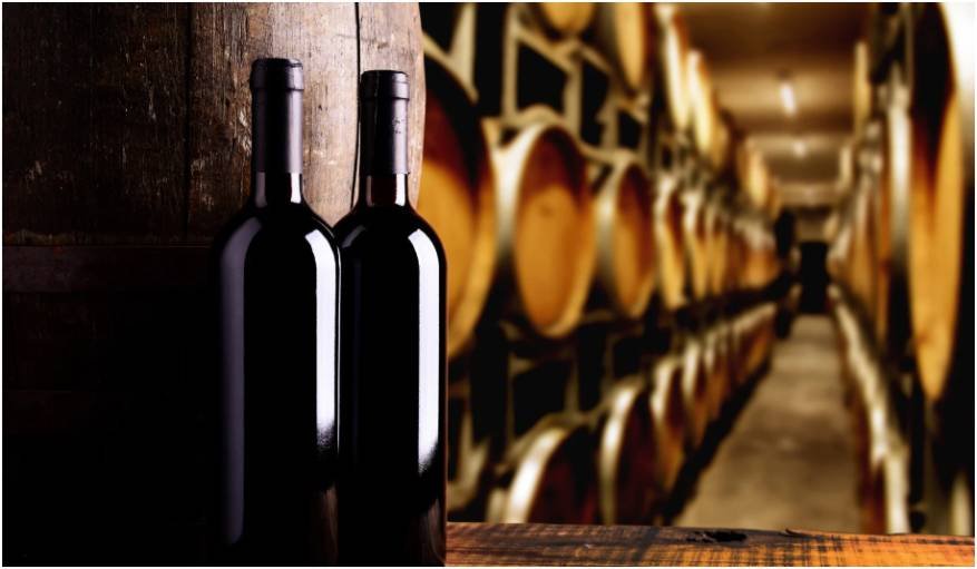 Exploring the Unique Flavours of Pipers River Wineries